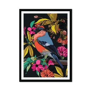 Cherry Blossom Birds Bullfinch Fine Art Print