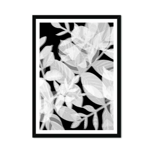 Leaf Negative Fine Art Print 03